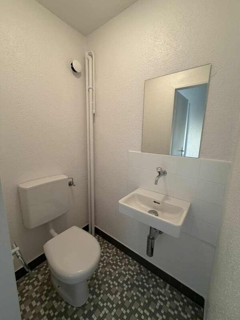 Appartamento modernizzato alla periferia della città (8)