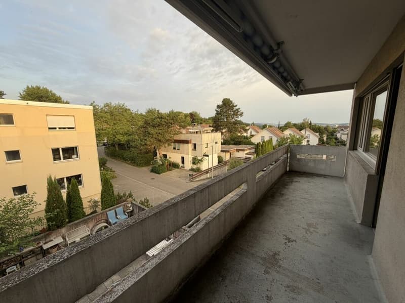 Appartamento modernizzato alla periferia della città (9)