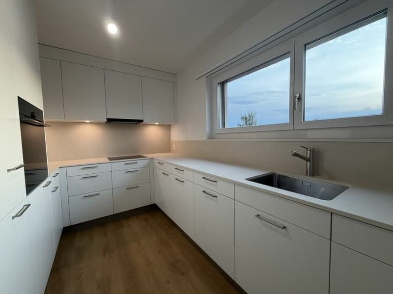 Appartamento modernizzato alla periferia della città (2)