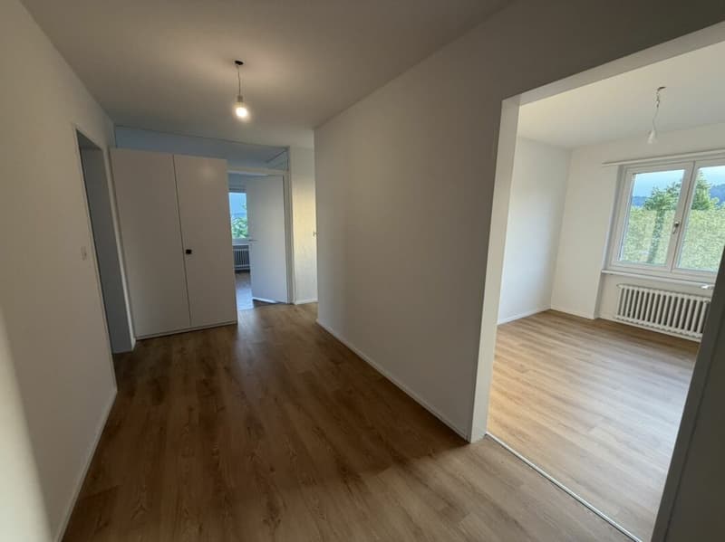 Appartamento modernizzato alla periferia della città (5)
