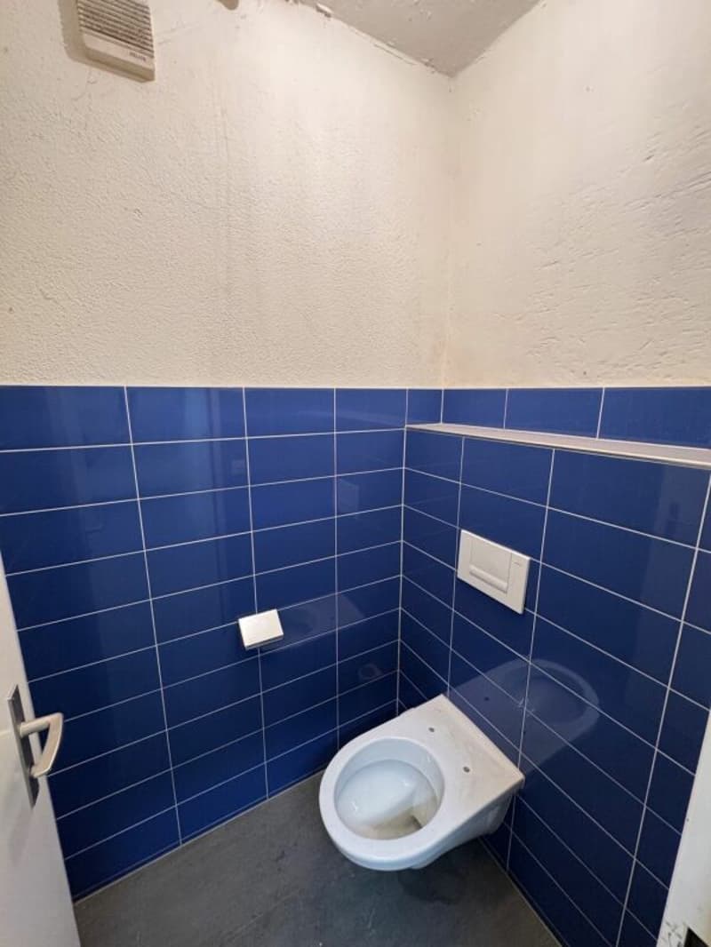 Gewerbeobjekt in Töss (3)