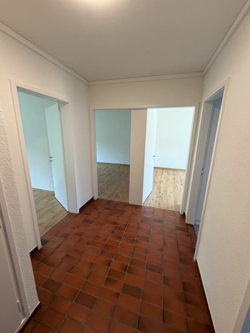 3-Zimmerwohnung in gepflegter Liegenschaft (3)