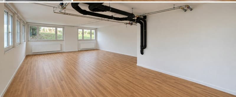 Neuwertiges Atelier/Gewerbeobjekt in sanierter Liegenschaft (3)