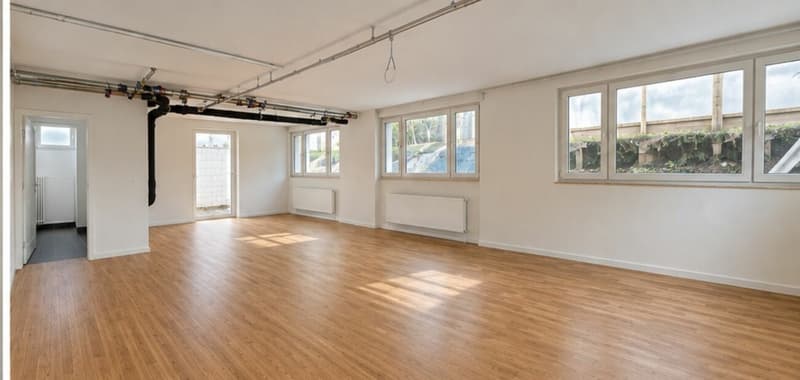 Neuwertiges Atelier/Gewerbeobjekt in sanierter Liegenschaft (2)