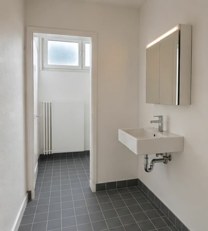 Neuwertiges Atelier/Gewerbeobjekt in sanierter Liegenschaft (4)