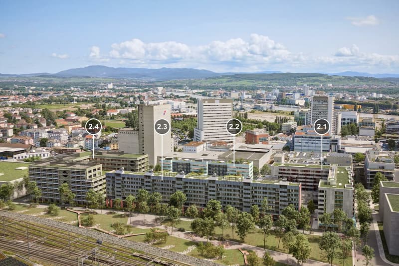 2Areal Volta Basel Num..jpg