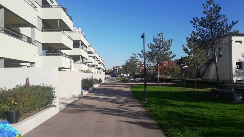 Muenchackerstrasse_Umgebung_23.10.17.jpg