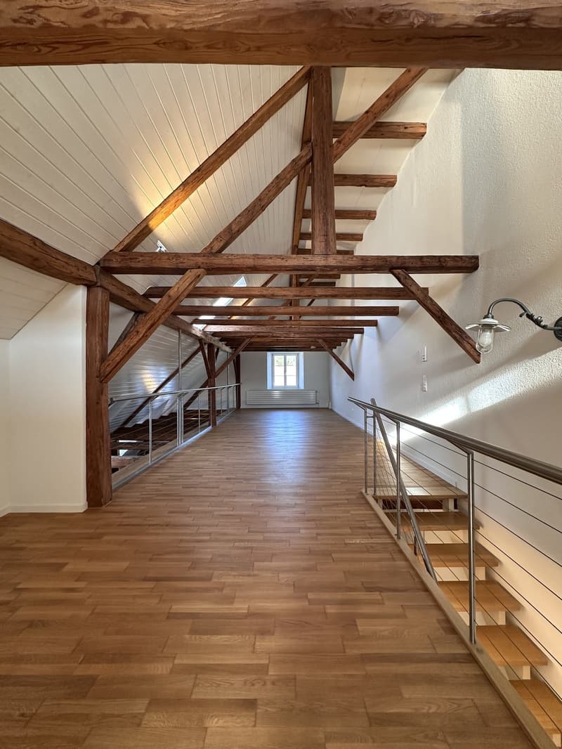 5.5-room apartment for rent in a natural setting (6)