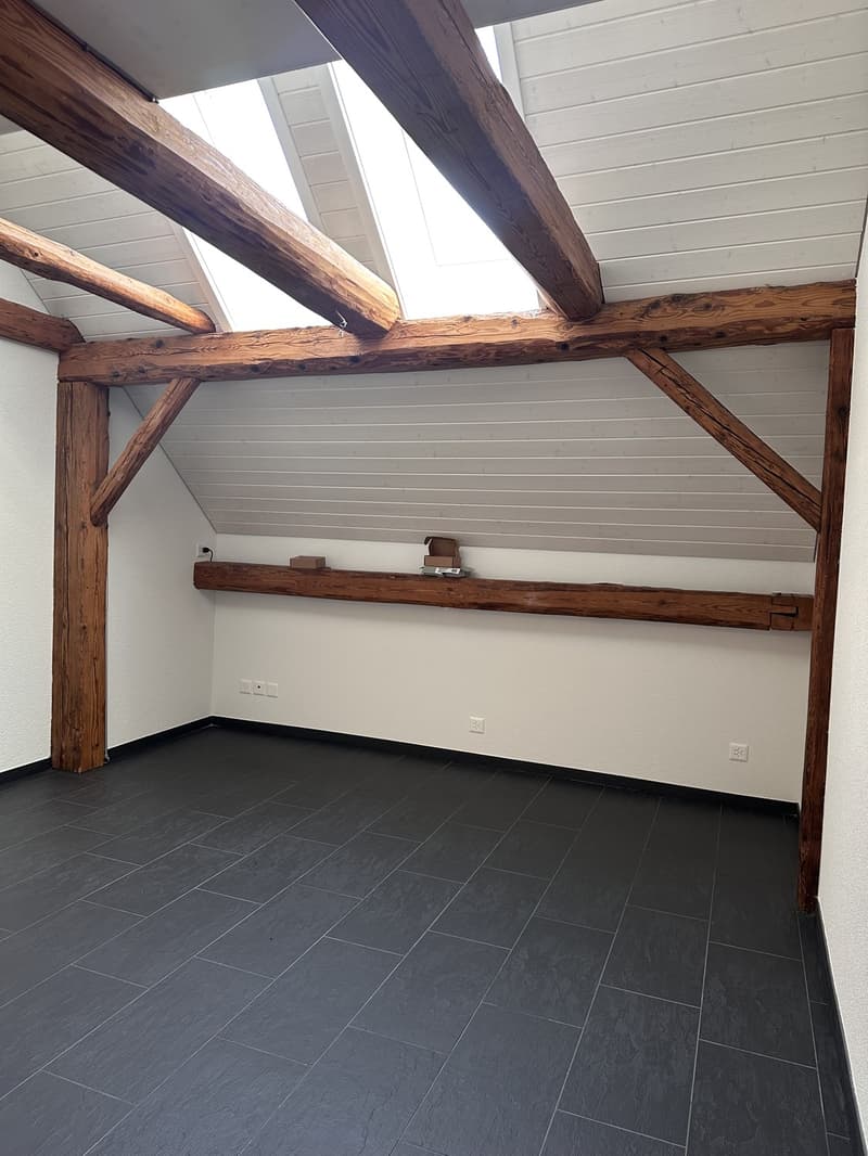 5.5-room apartment for rent in a natural setting (10)