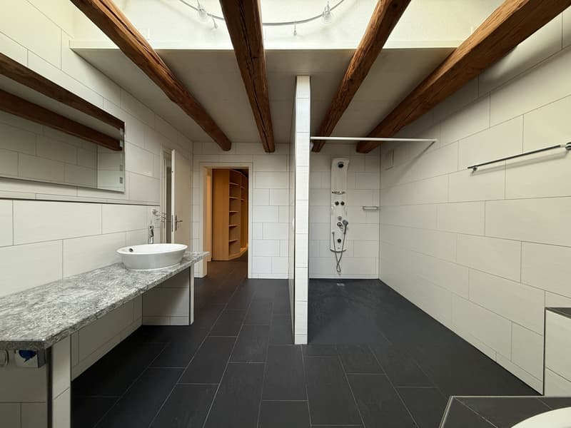 5.5-room apartment for rent in a natural setting (3)