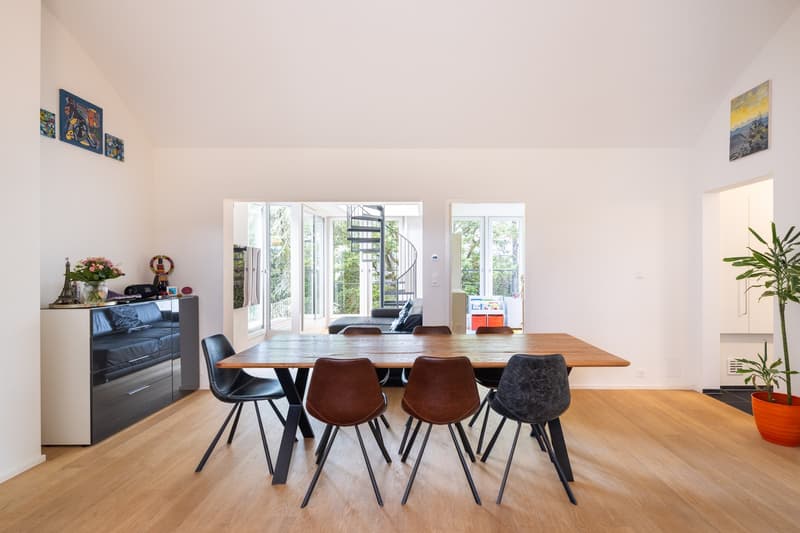 Penthouse apartment with lake view, living in the heart of Zürich-Enge (3)