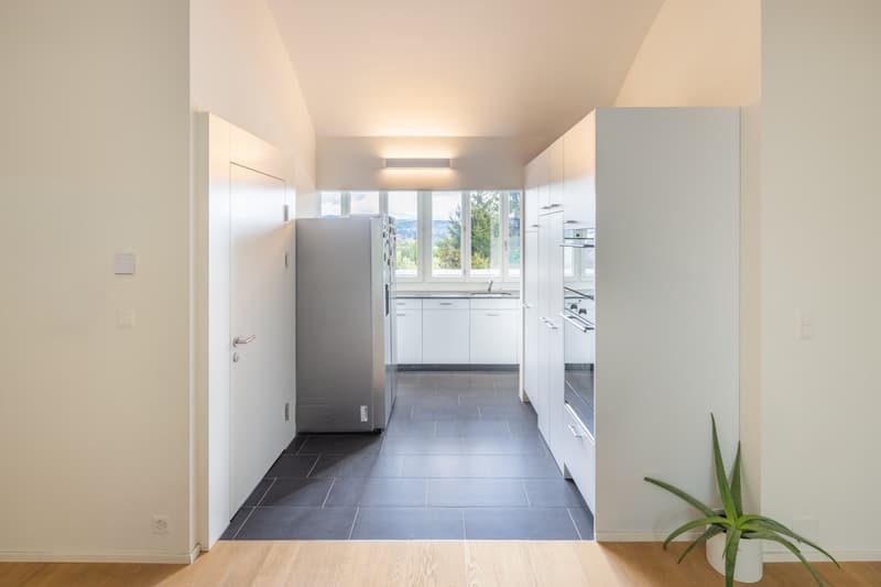 Penthouse apartment with lake view, living in the heart of Zürich-Enge (9)