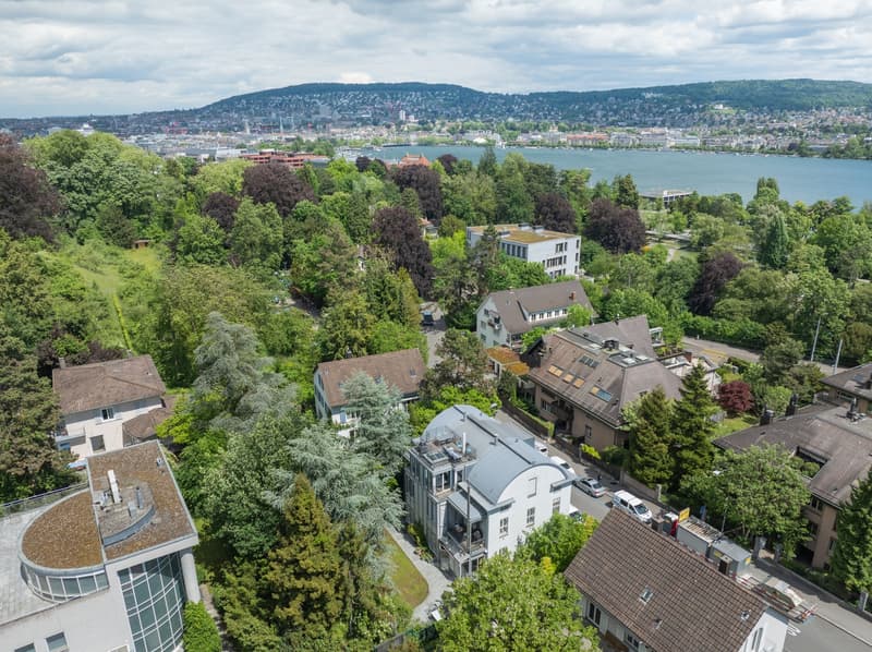 Penthouse apartment with lake view, living in the heart of Zürich-Enge (2)