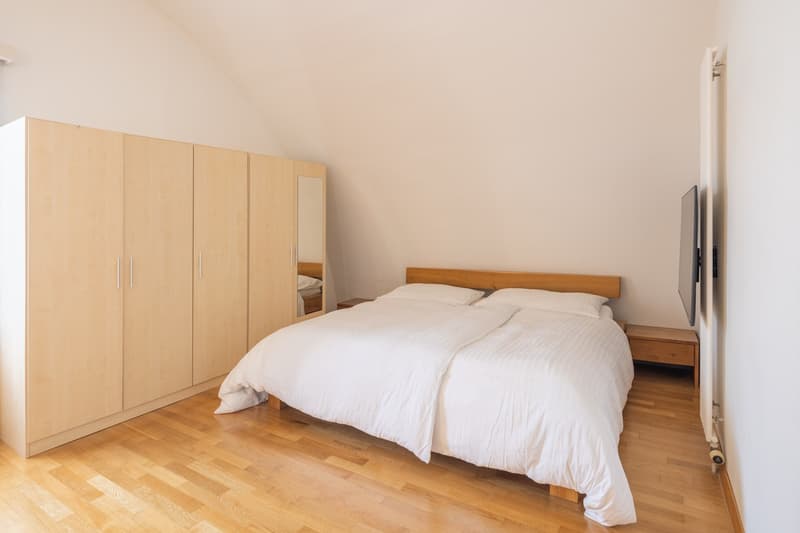 Penthouse apartment with lake view, living in the heart of Zürich-Enge (7)