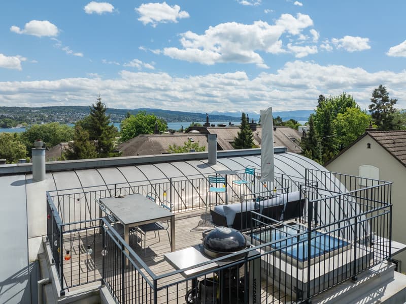 Penthouse apartment with lake view, living in the heart of Zürich-Enge (11)