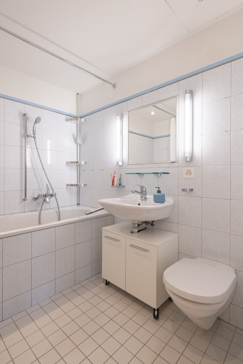 Penthouse apartment with lake view, living in the heart of Zürich-Enge (13)