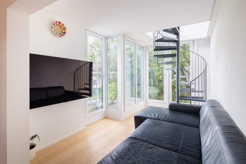 Penthouse apartment with lake view, living in the heart of Zürich-Enge (4)
