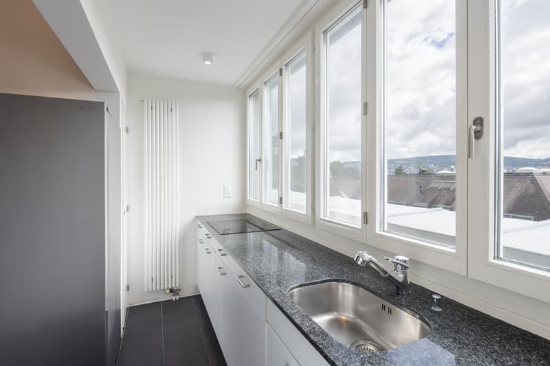 Penthouse apartment with lake view, living in the heart of Zürich-Enge (10)