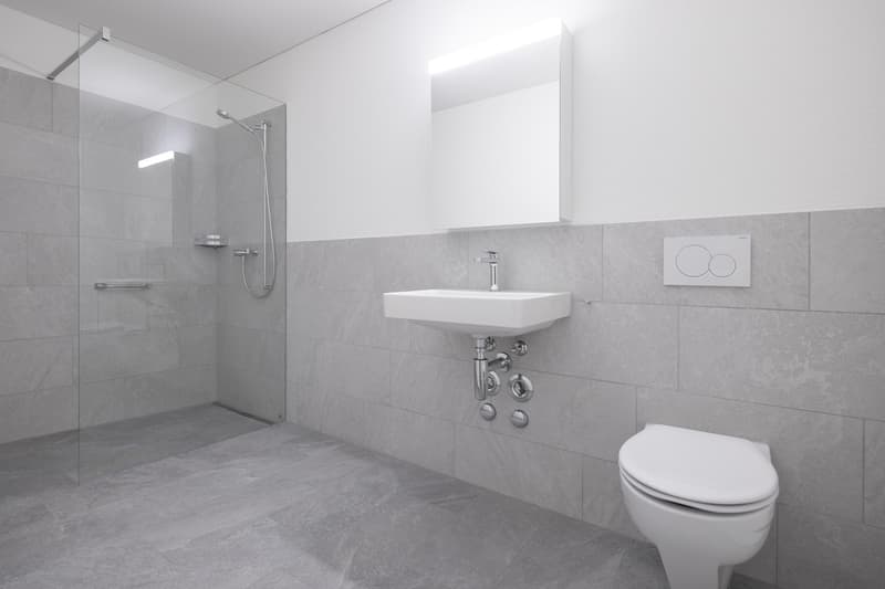 Appartamenti 2.5 locali a Zurigo-Seebach, vita per la generazione 50+ (2)