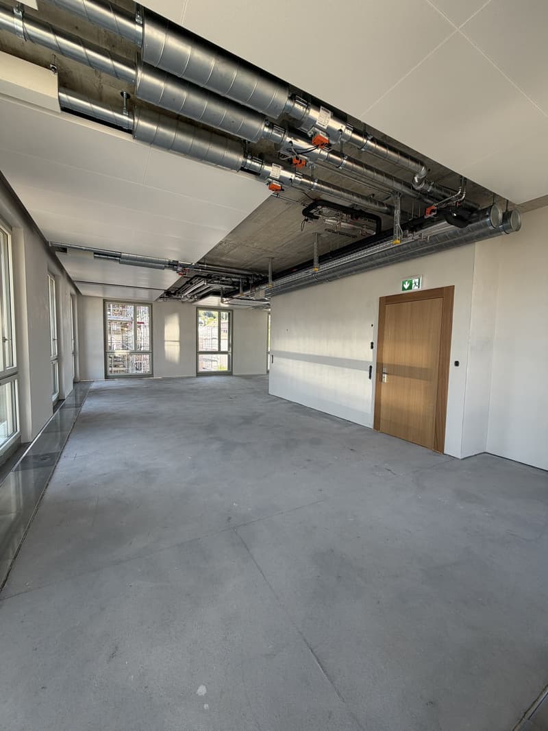 SCHINDLER-AREAL  Wir bieten Ihnen die attraktivste Officefläche in Schlieren! (5)