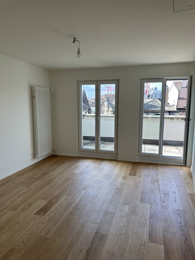 Prima locazione dopo ristrutturazione con vista sul Reno! (3)