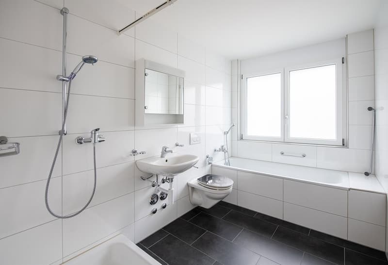Schibistrasse5_4.5_ZWG_Badezimmer.jpg