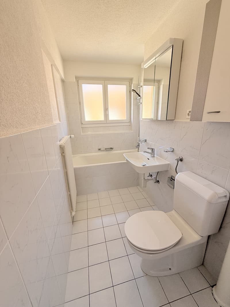 Quiet 3-room apartment in central location in Zurich Wiedikon/District 3 (4)