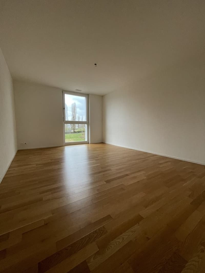 Zimmer