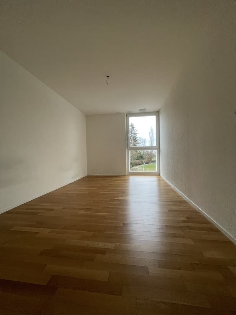 Zimmer