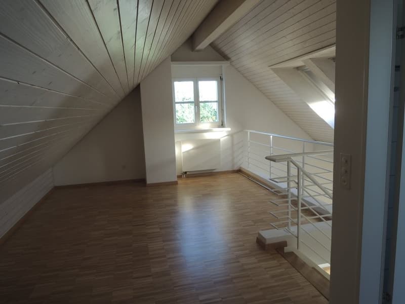 Galerie