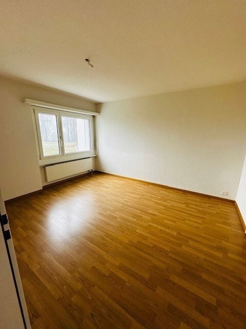 Zimmer