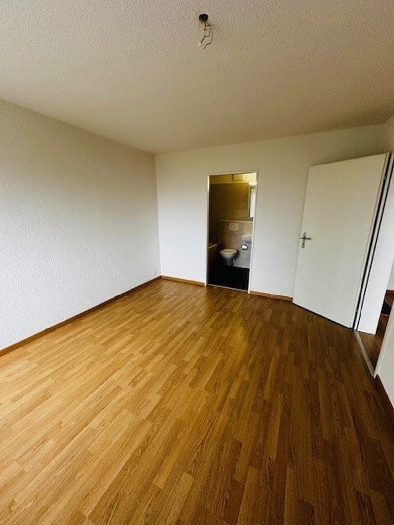 Zimmer