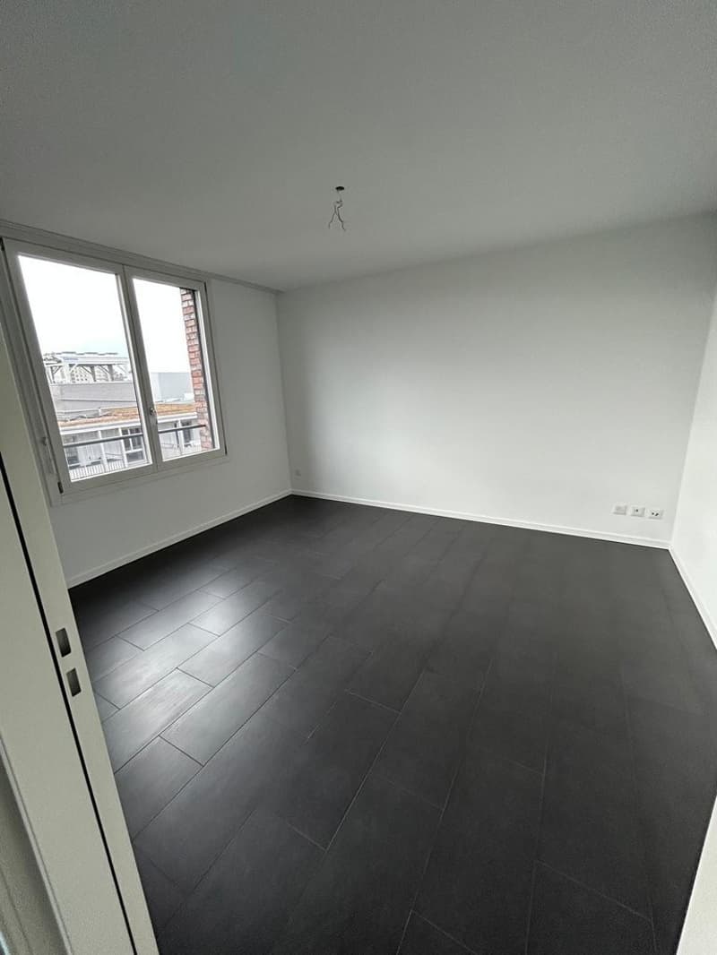 125774.07.00502-Zimmer_St._Louis_2.png