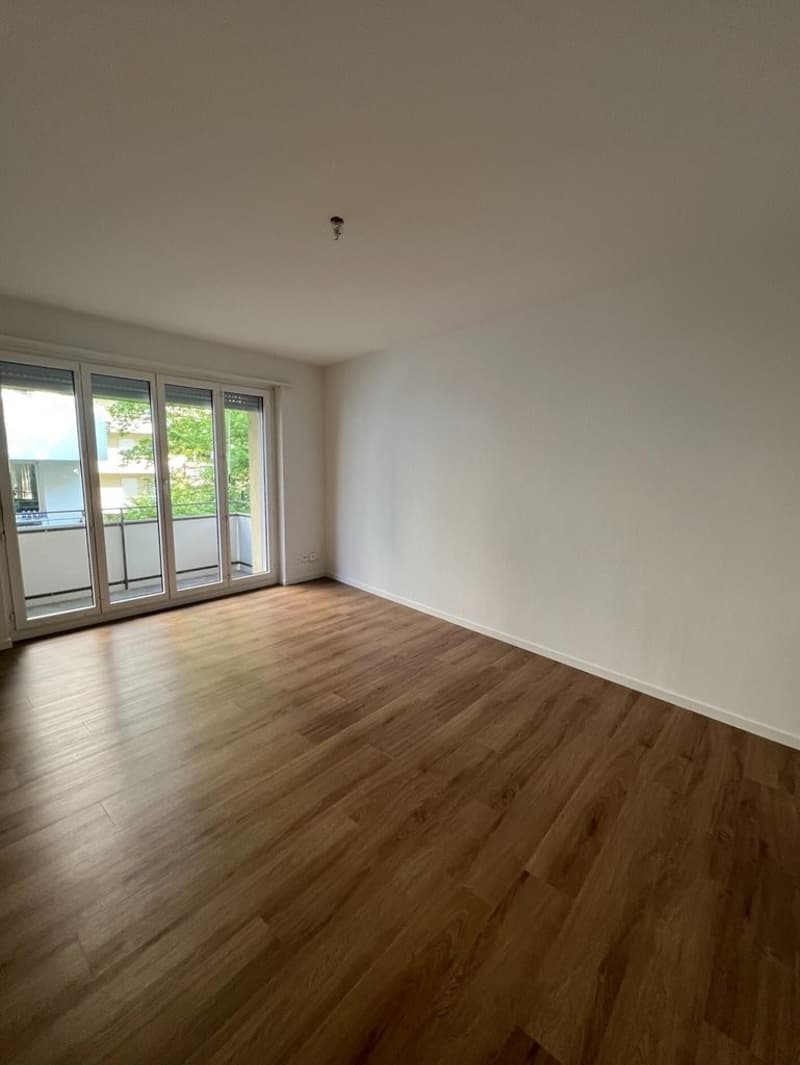 Wohn-Schlafzimmer_neu.jpeg