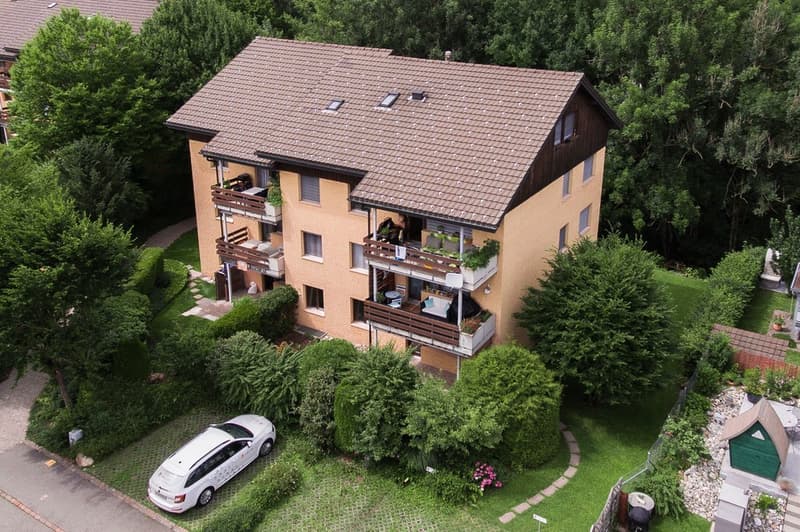 Charmante Dachwohnung in Hittnau (Befristet) (1)