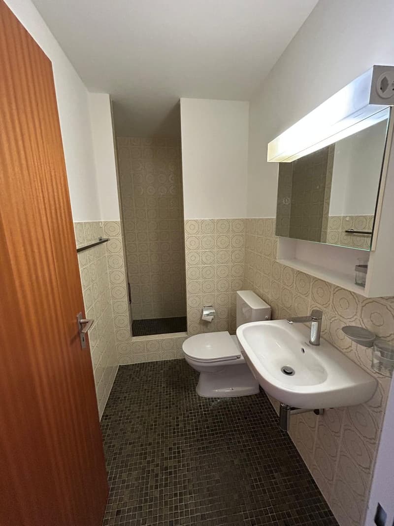 Attraktive 3.5-Zimmer-Wohnung mit 2 Balkonen Nähe Schützenmattpark (7)
