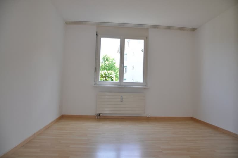 Zimmer1