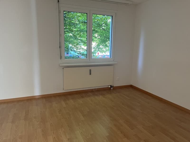 Zimmer2