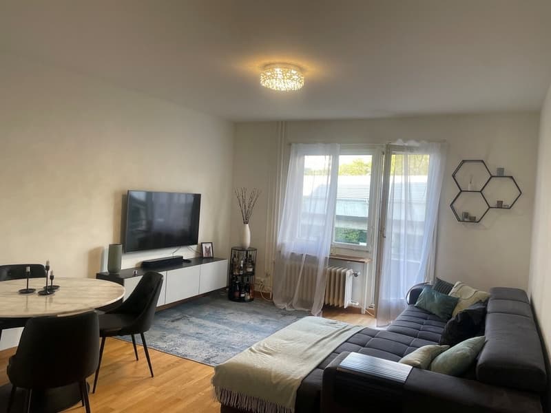 Wohnzimmer_Manessenstr._101.jpg