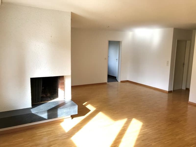 Wonhzimmer