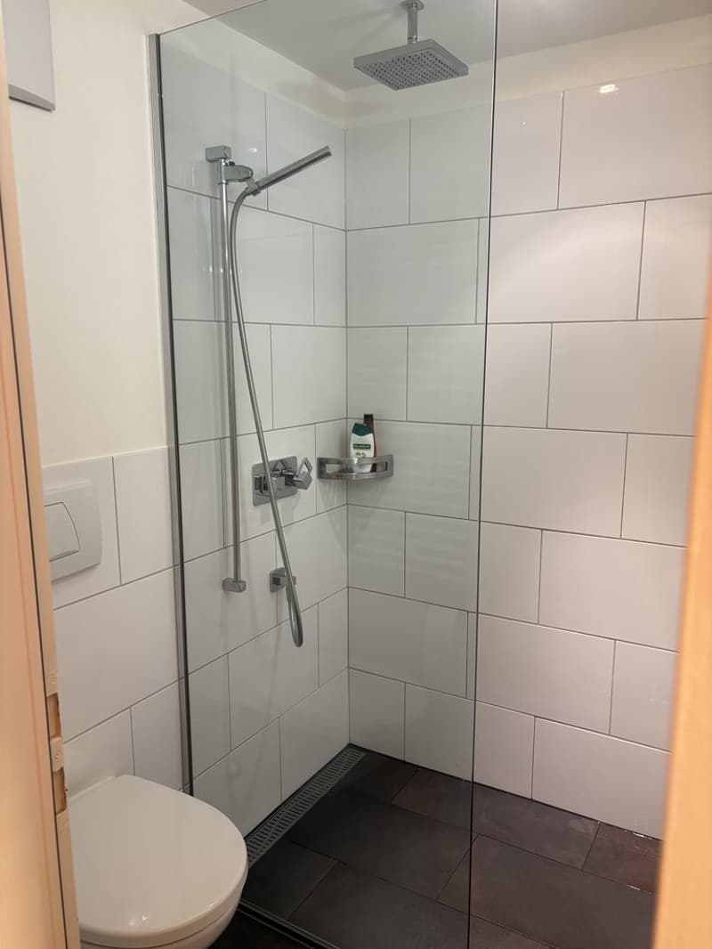 Badezimmer (bodenebener Dusche)