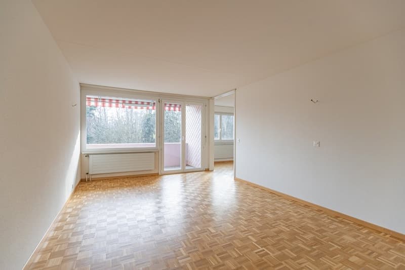 Hier wartet Ihr neues Zuhause (7)