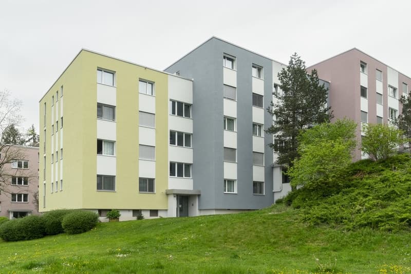 Hier wartet Ihr neues Zuhause (1)
