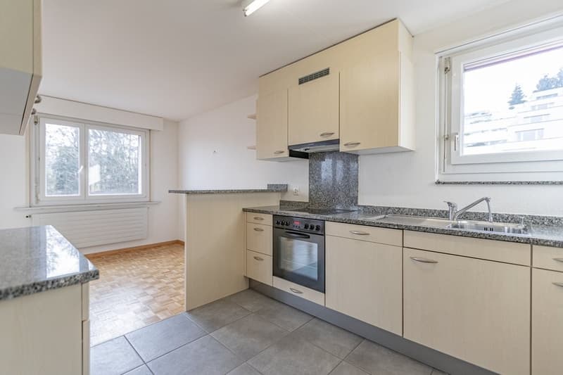 Hier wartet Ihr neues Zuhause (4)