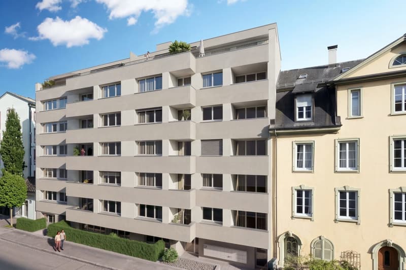 2 Zimmer-Wohnung, 4053 Basel (1)