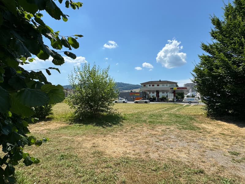 Wide grassy area with bushes, trees, mountains in the background, gas station with cars