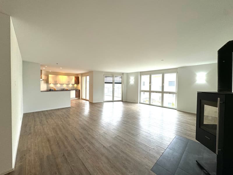 modern design, wooden floors, open-concept layout, fireplace, large windows, sliding glass doors