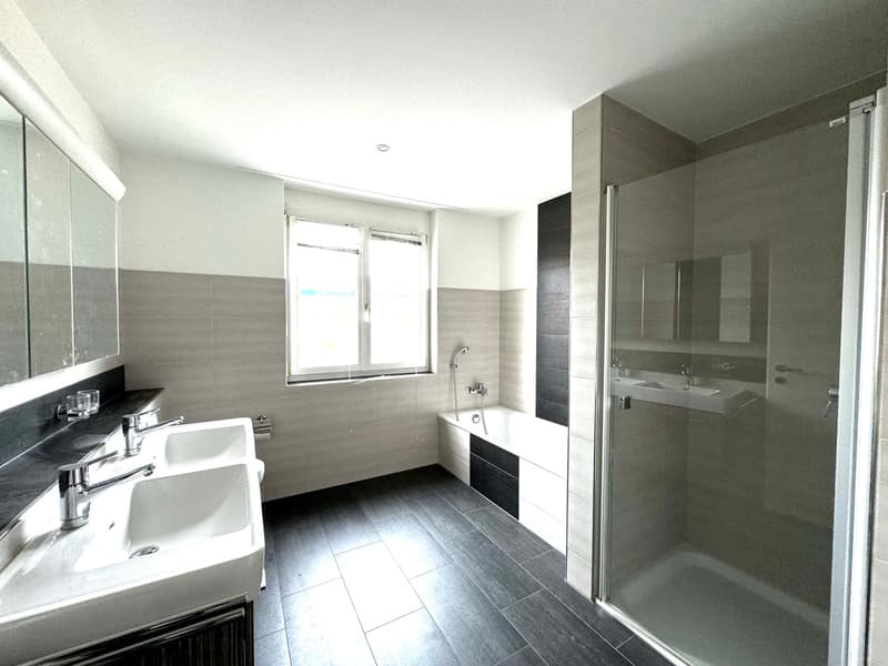 modern bathroom, 2 sinks, bathtub, glass shower enclosure