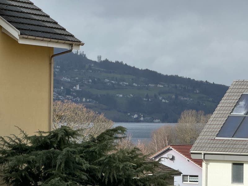 Two houses in the foreground, a lake and a hill in the background