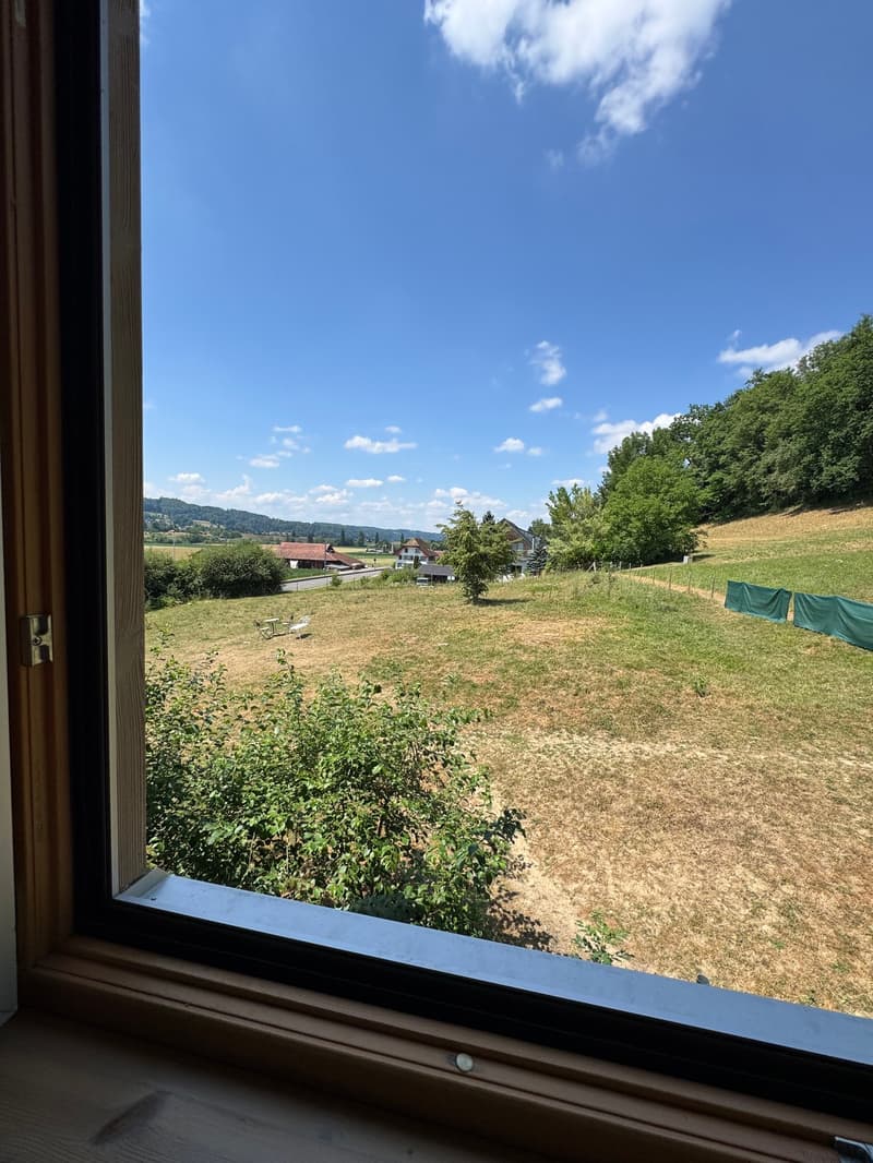 3 Familienhaus mit Pferdestall, Reitplatz, Naturpool und Überlaufbecken (17)